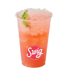 The Fighter refresher swig